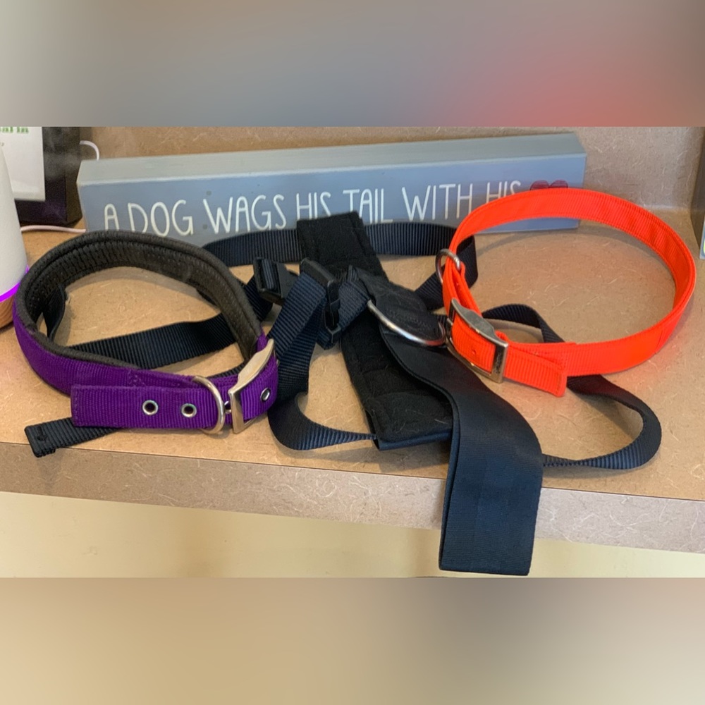 Two 26-in dog collars and a dog Car Seat adjustable safety belt